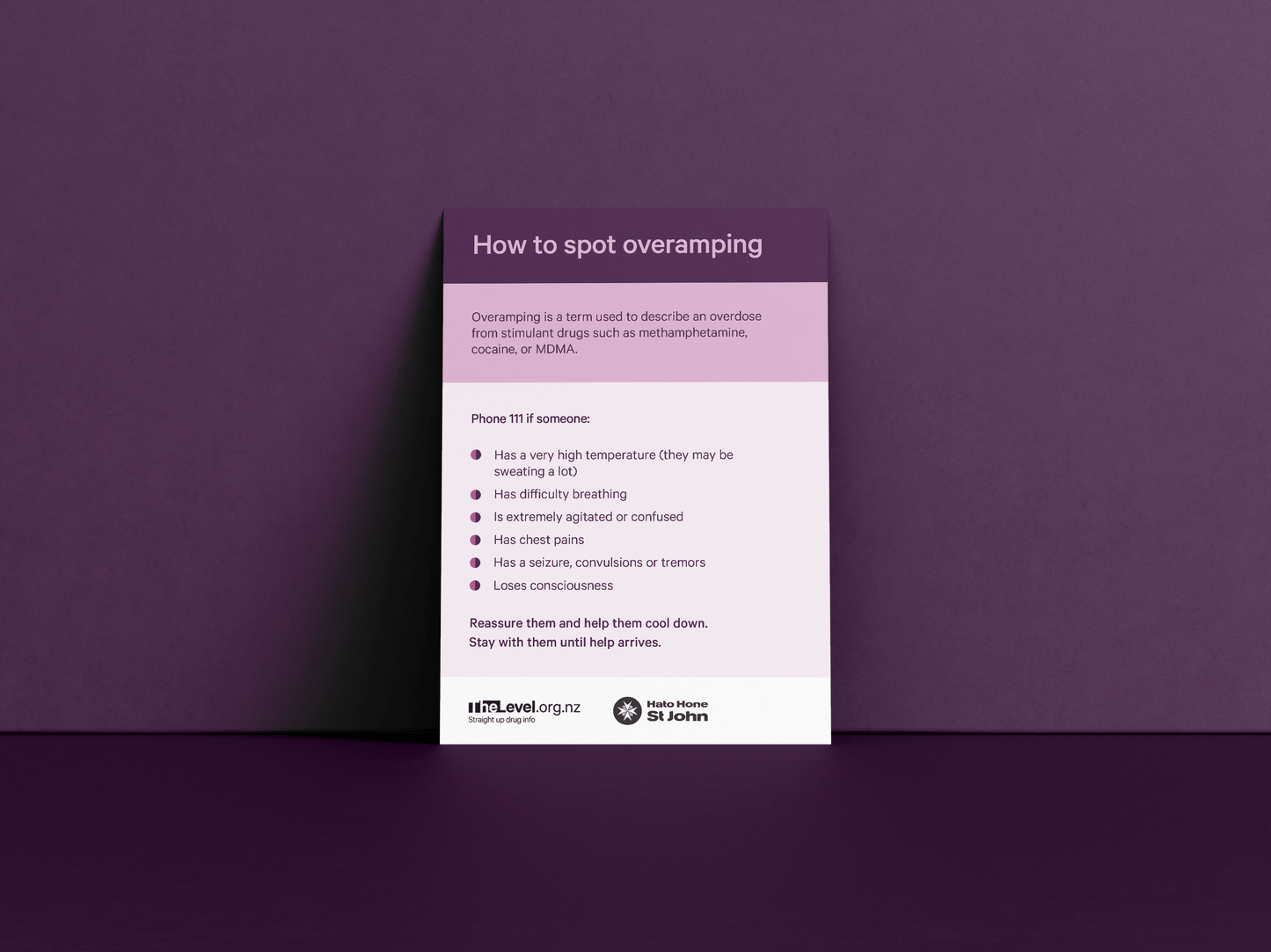 Flyer pack for services (20 x 4 flyers)