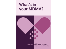 The Level 'MDMA' poster - A3